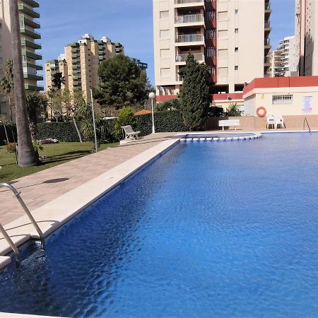 شقة Don Ximo Gandia - Alquiler Solo Familias Playa de Gandia المظهر الخارجي الصورة